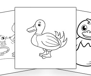 Coloriages Canard