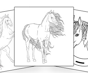 Coloriages Cheval