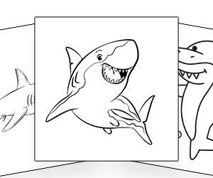 Coloriages Requin