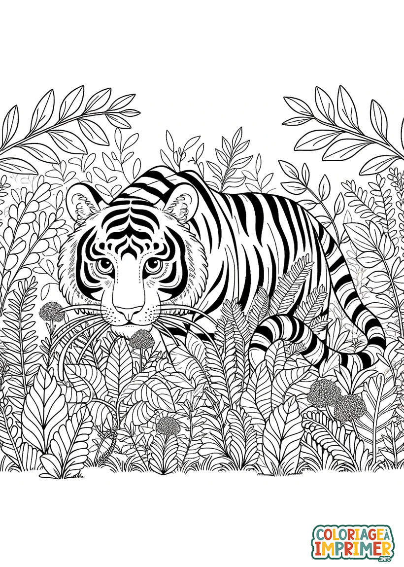 Coloriage Tigre dans les Hautes Herbes à Imprimer Gratuit