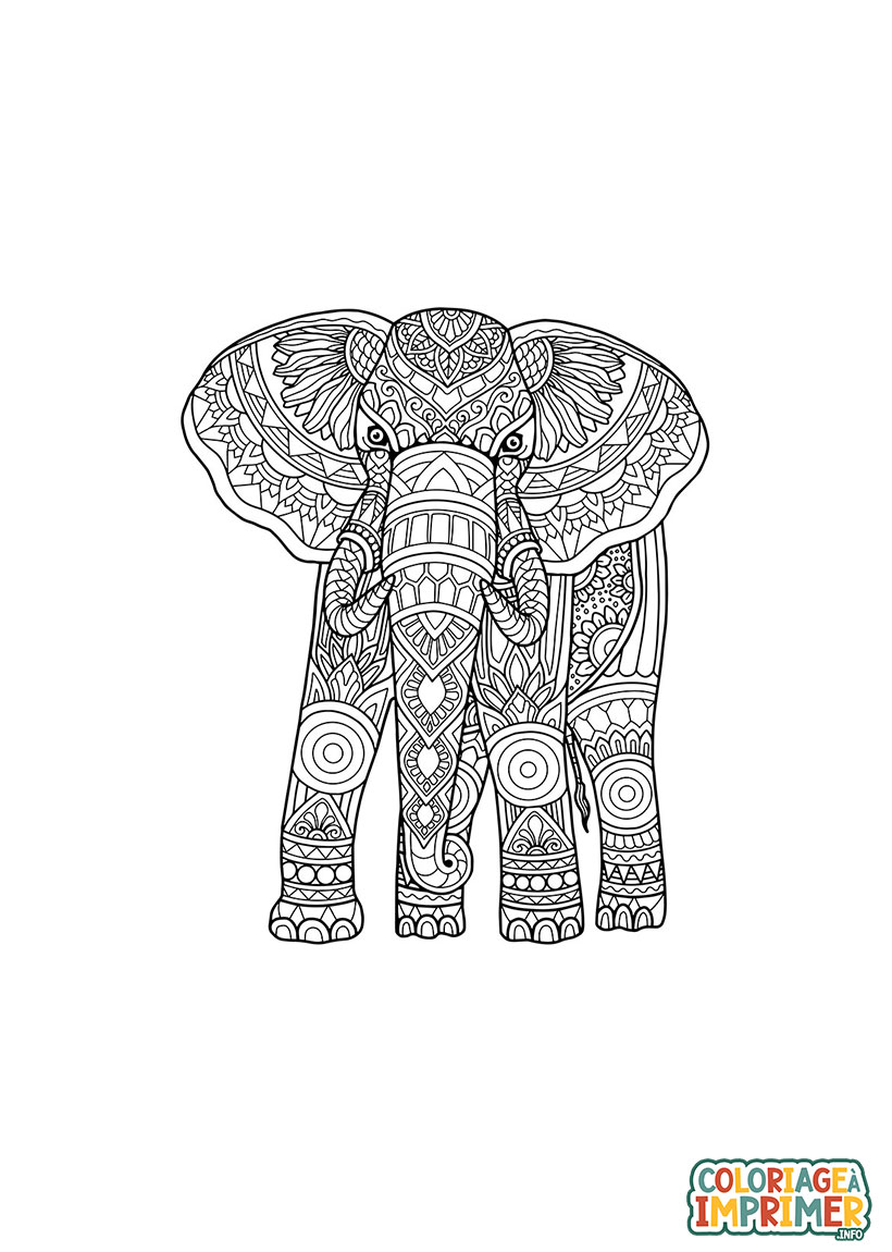 Coloriage Éléphant Inde à Imprimer Gratuit