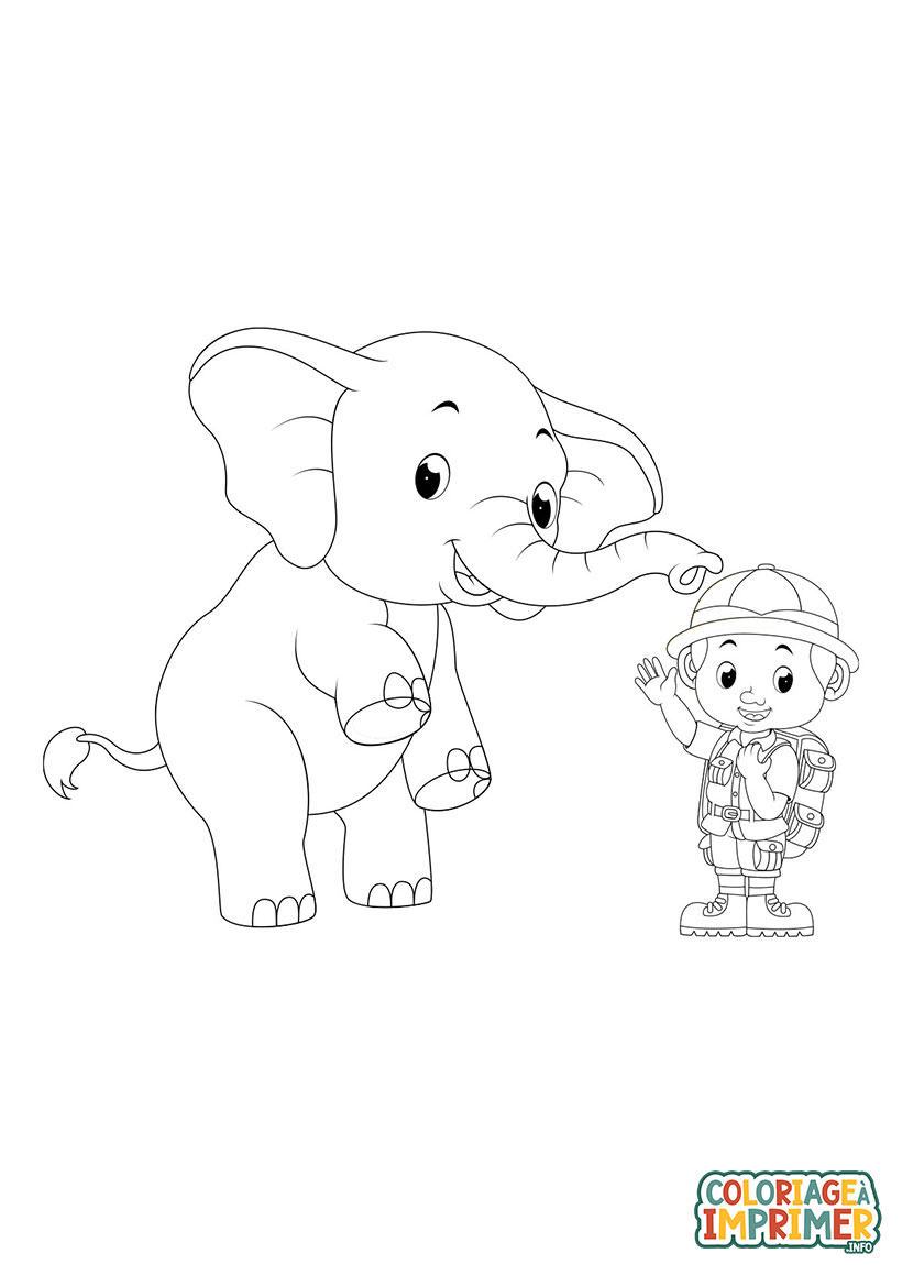 Coloriage Éléphant Zoo à Imprimer Gratuit