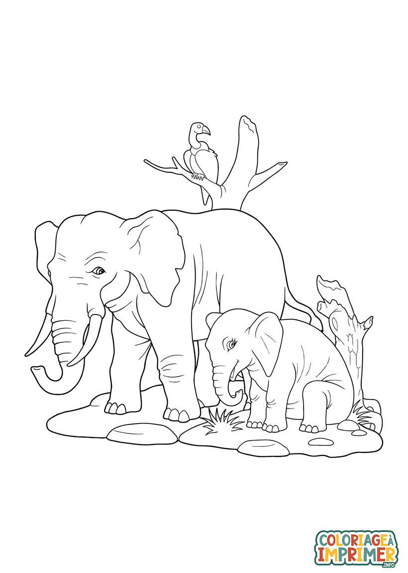Coloriage Éléphants à Imprimer Gratuit