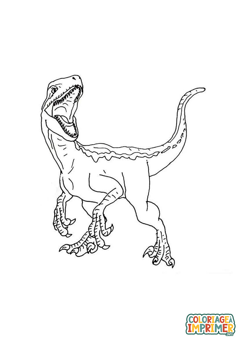 Coloriage de Jurassic World Velociraptor à Imprimer Gratuit