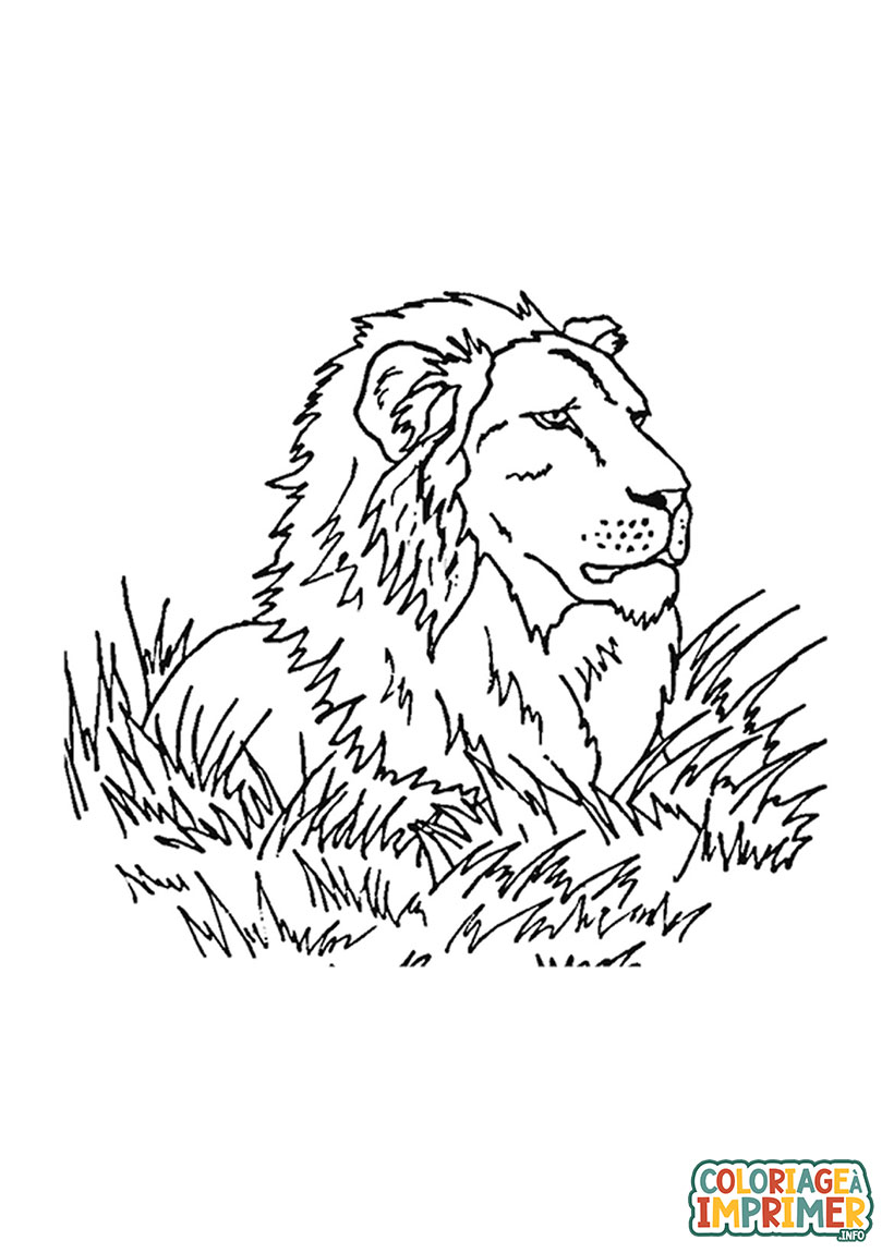 Coloriage Lion dans la Savane à Imprimer Gratuit