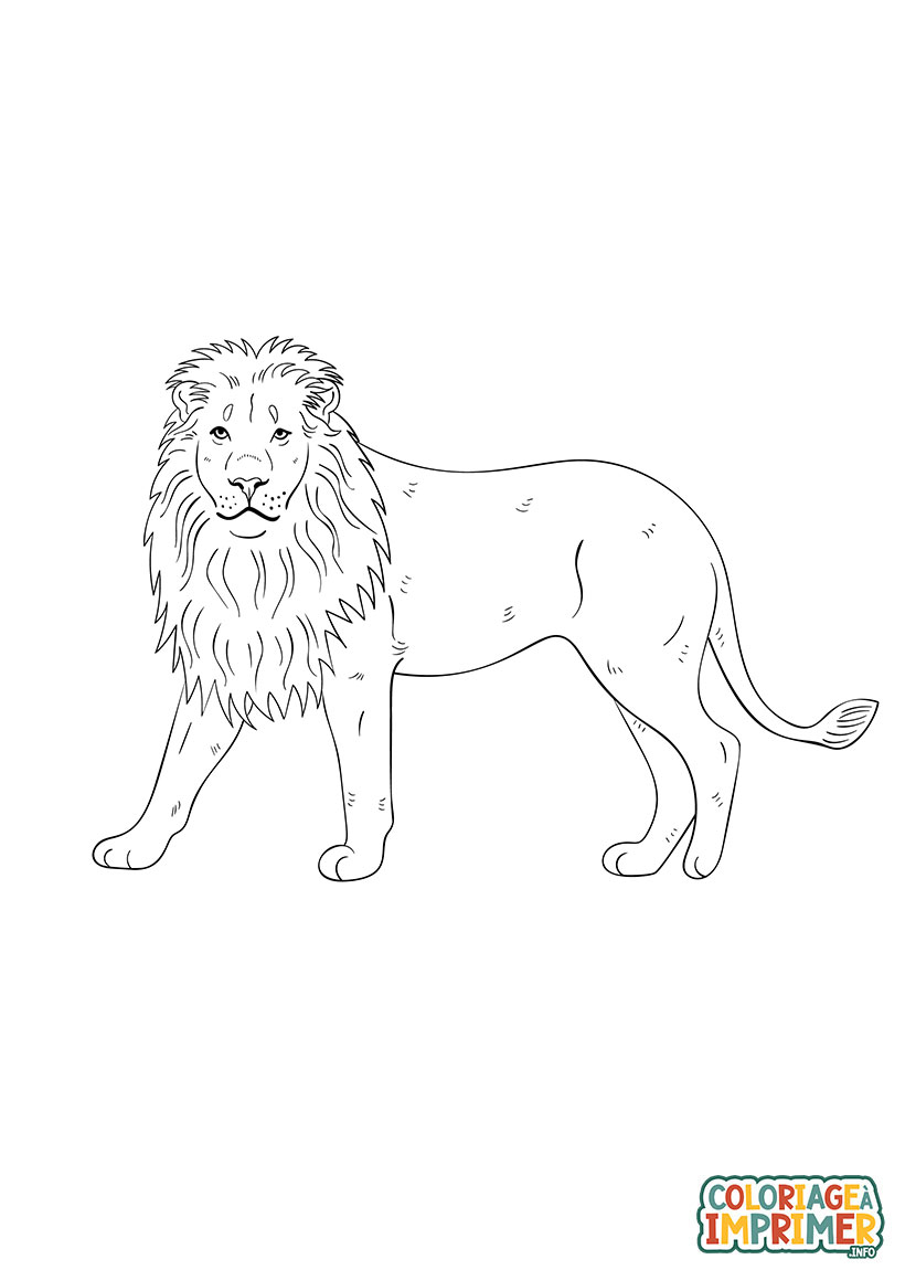 Coloriage Lion Majestueux à Imprimer Gratuit