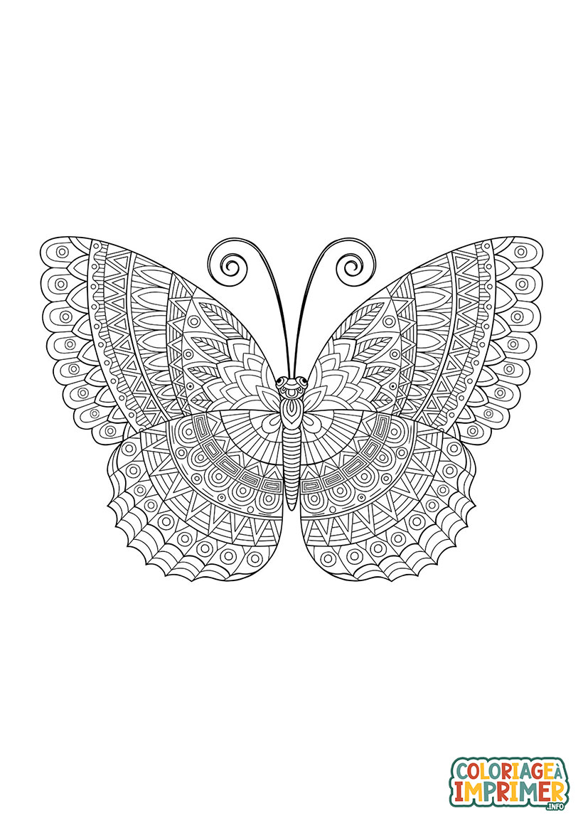 Coloriage Grand Papillon à Imprimer Gratuit