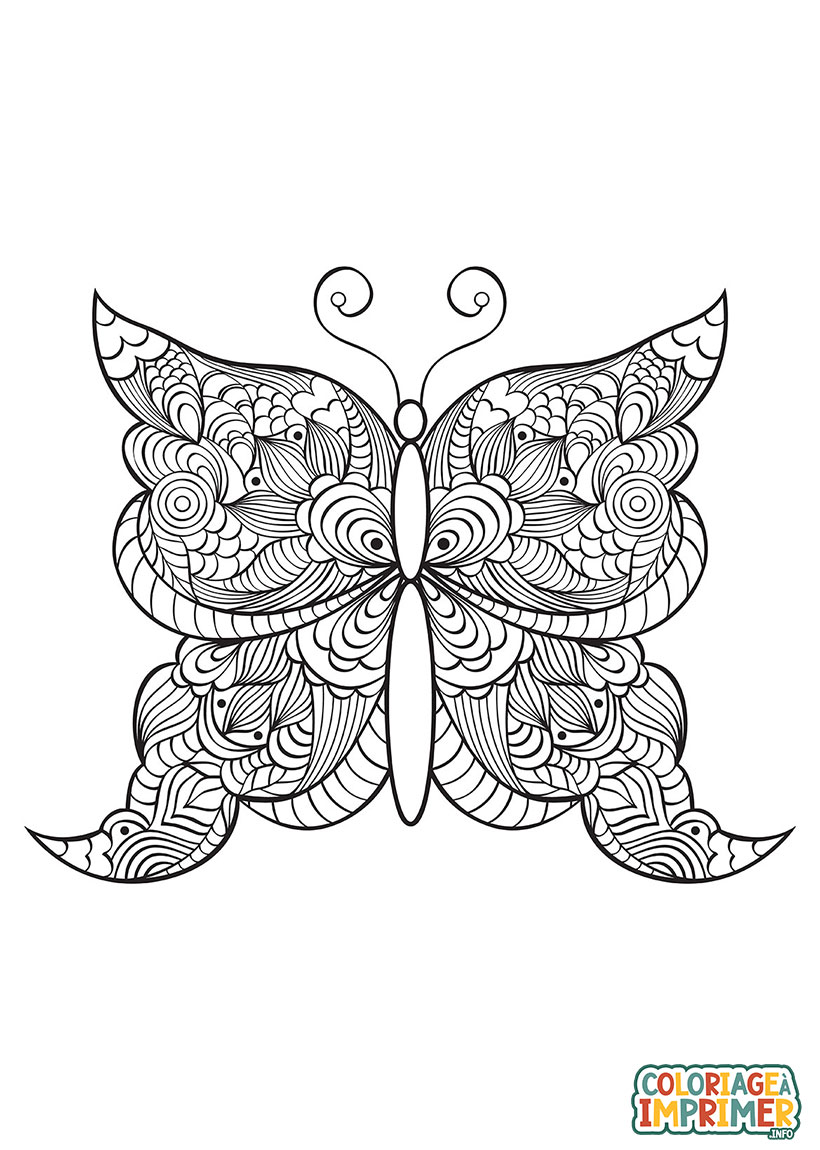 Coloriage Papillon Adulte à Imprimer Gratuit