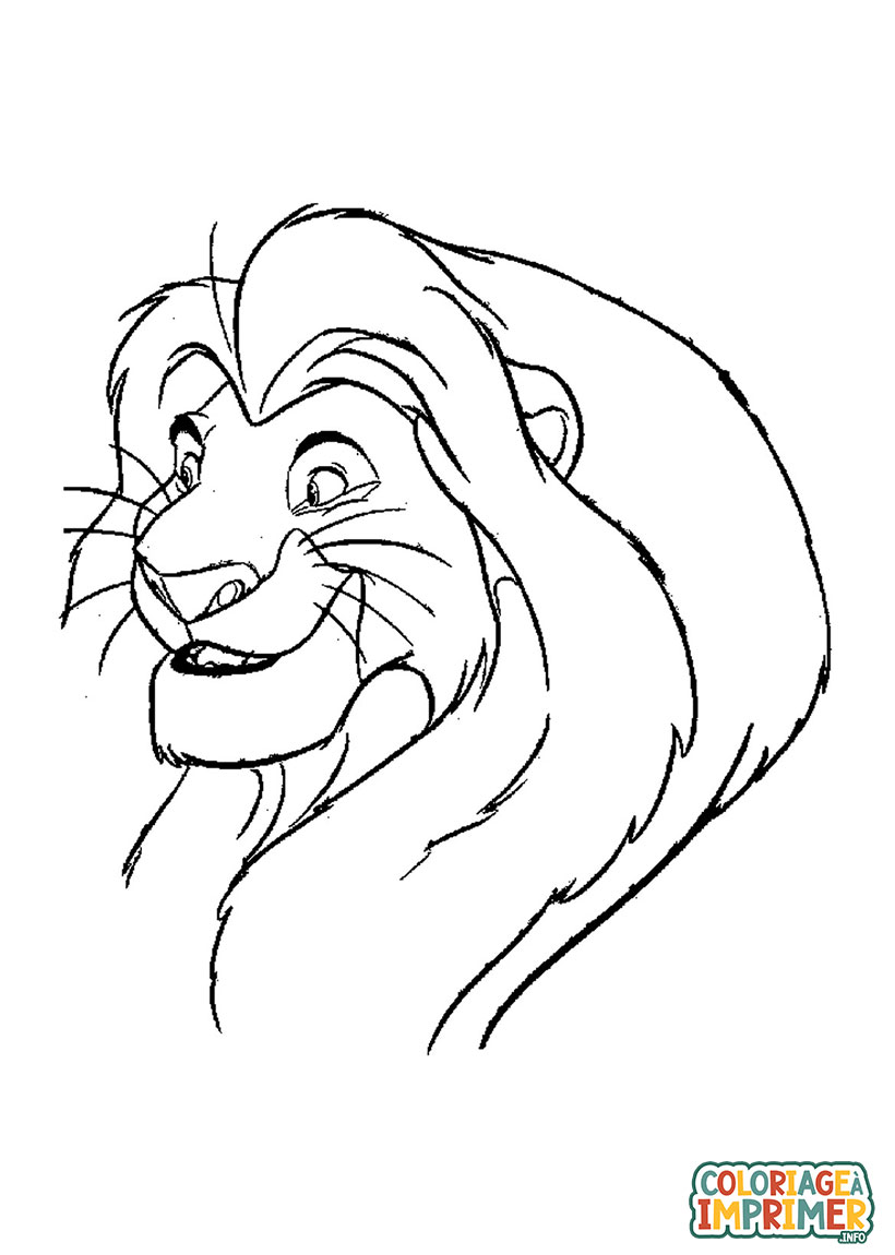 Coloriage Roi Lion Simba à Imprimer Gratuit