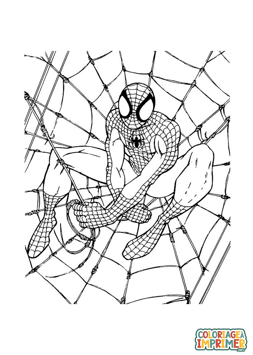 Coloriage De Spiderman à Imprimer Gratuit