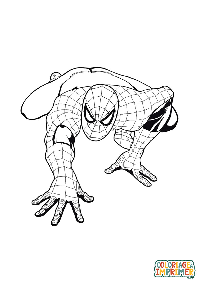 Coloriage Spider-man à Imprimer Gratuit