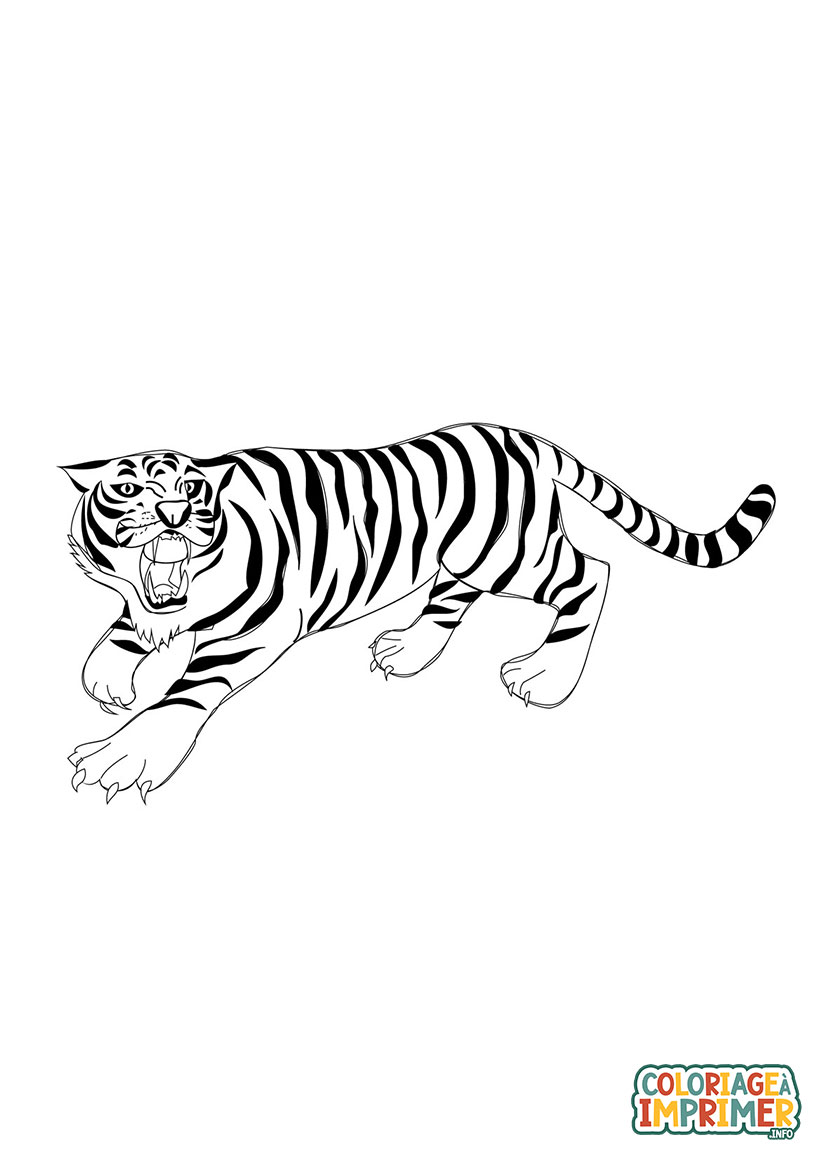 Coloriage Tigre qui Rugit à Imprimer Gratuit