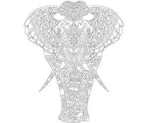 Coloriage Adulte Éléphant