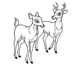 Coloriage Féline et Bambi Adulte