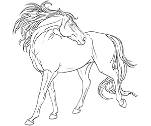 Coloriage Cheval Adulte