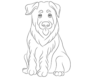 Coloriage Chien Berger Allemand