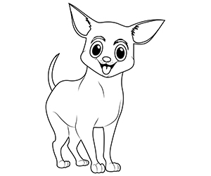 Coloriage Chihuahua