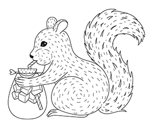 Coloriage D'un Écureuil
