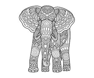Coloriage Éléphant Inde