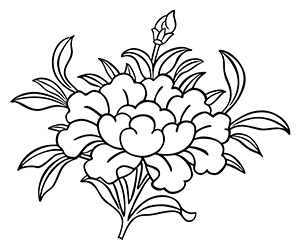 Coloriage Fleur de Lotus