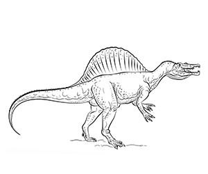 Coloriage Spinosaurus Jurassic World