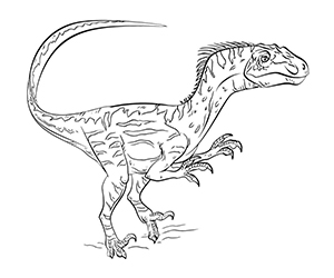 Coloriage Vélociraptor Jurassic World