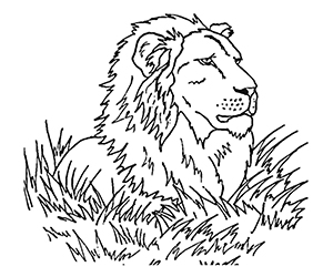 Coloriage Lion dans la Savane