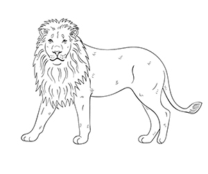 Coloriage Lion Majestueux
