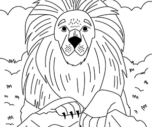 Coloriage Lion Proche