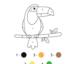Coloriage Magique Toucan