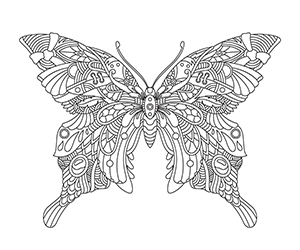 Coloriage Mandala Papillon