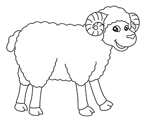 Coloriage Mouton Content