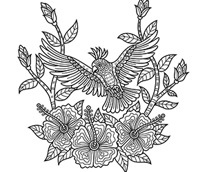 Coloriage Perroquet et Fleurs