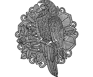 Coloriage Perroquet Mandala