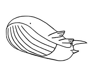 Coloriage Wailord