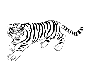 Coloriage Tigre qui Rugit